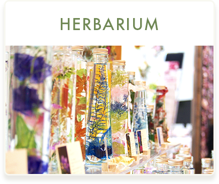 HERBARIUM