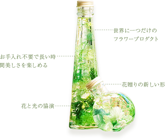 世界に一つだけのハーバリウムを